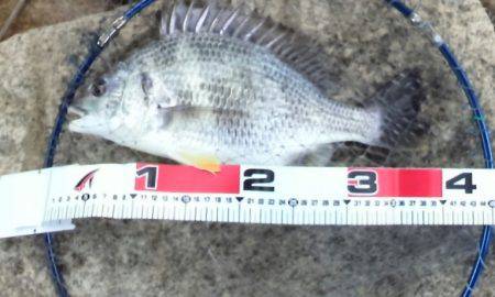 GW 　第二ラウンド