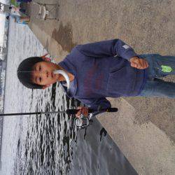 カタクチ回ってますね〜！