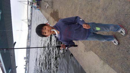 カタクチ回ってますね〜！