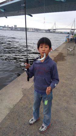 カタクチ回ってますね〜！