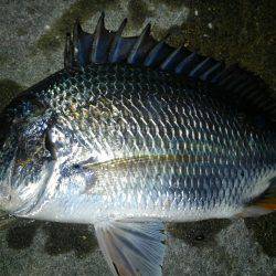 チニングランガン！