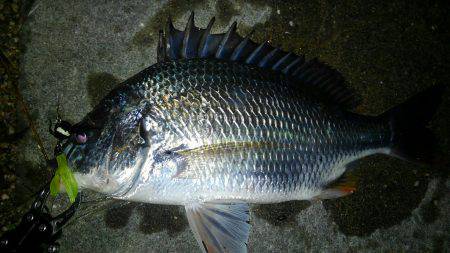 チニングランガン！