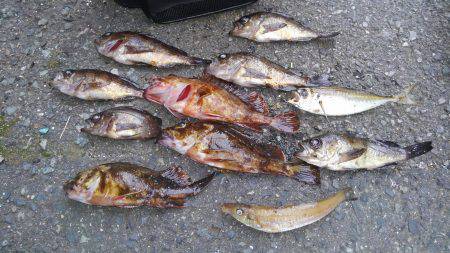 連休メバリング