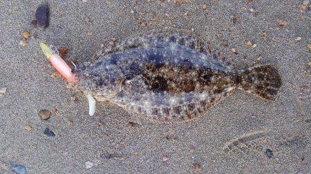 かぶと山公園にて
