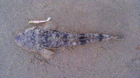 かぶと山公園にて。