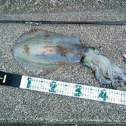 今年初のキロupget！(*^^)v