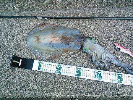 今年初のキロupget！(*^^)v