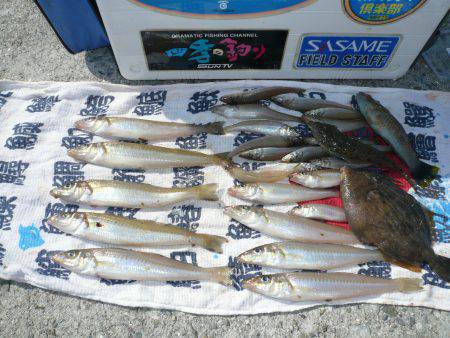 シーズン最高の釣果