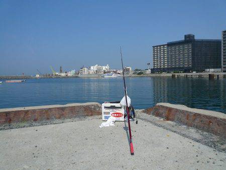 ピンギスモードに突入か