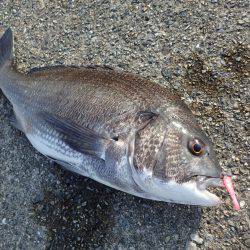 再びライトワインドパラダイスへ♪