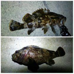 久々の出撃でした！