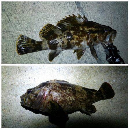 久々の出撃でした！