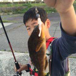 ロックフィッシュ