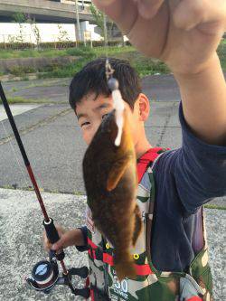 ロックフィッシュ