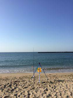 強風の中でちょい投げなど