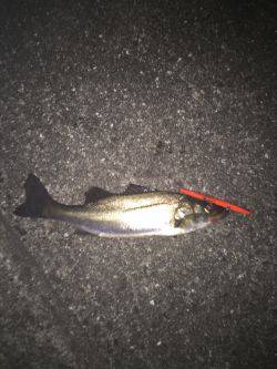 バチ抜けはまだかな〜、、、