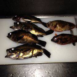 南紀メバリング