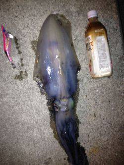 雨上がりの夜空に