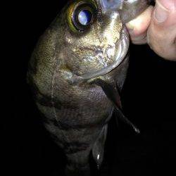 フロート&プラグ