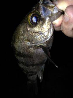 フロート&プラグ