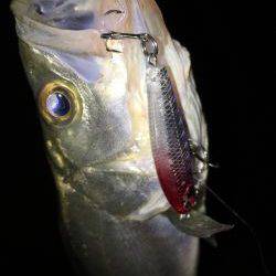 仕事終わりにチーバス