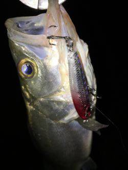 仕事終わりにチーバス