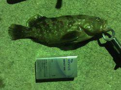 ロックフィッシュゲーム