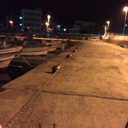 凄い人出の小島漁港でアジング