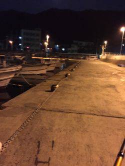 凄い人出の小島漁港でアジング