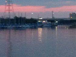 チビメバル連発！