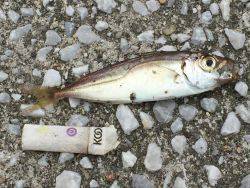 手応え抜群⁉️