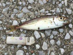 手応え抜群⁉️