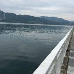 ファミリーフィッシング