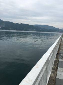 ファミリーフィッシング