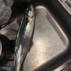 のんびりが一番！