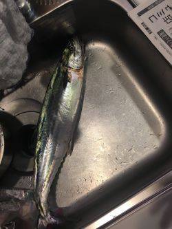 のんびりが一番！