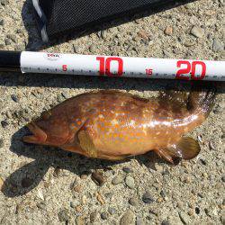 久しぶりの和歌山