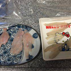 根魚ときどきキス