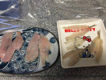 根魚ときどきキス