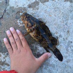 久しぶりのメバリング