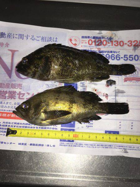 新規開拓 ランガン