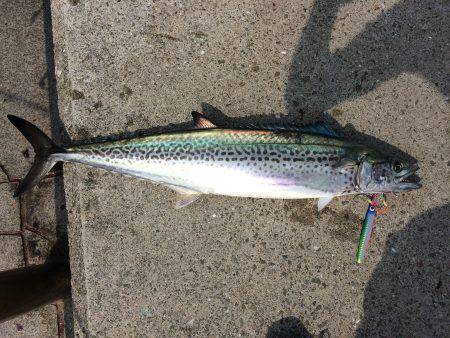 たまに起こる奇跡