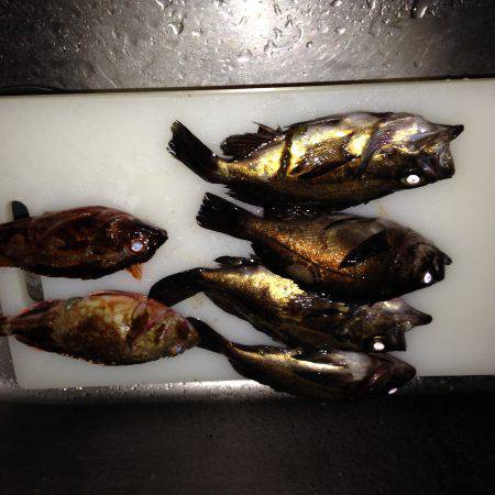 南紀メバリング