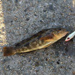 壁際20センチの攻防戦！！