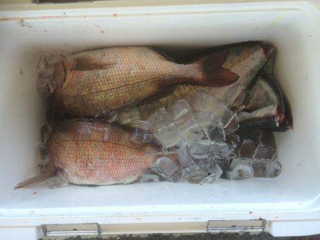 釣堀行ってきました