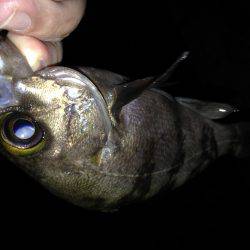 フロート&プラグ