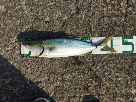 フォールした瞬間に