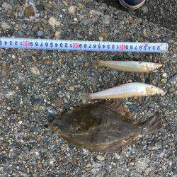 シーバスロッドで投釣