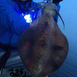 睡魔との格闘の中