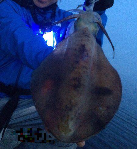 睡魔との格闘の中